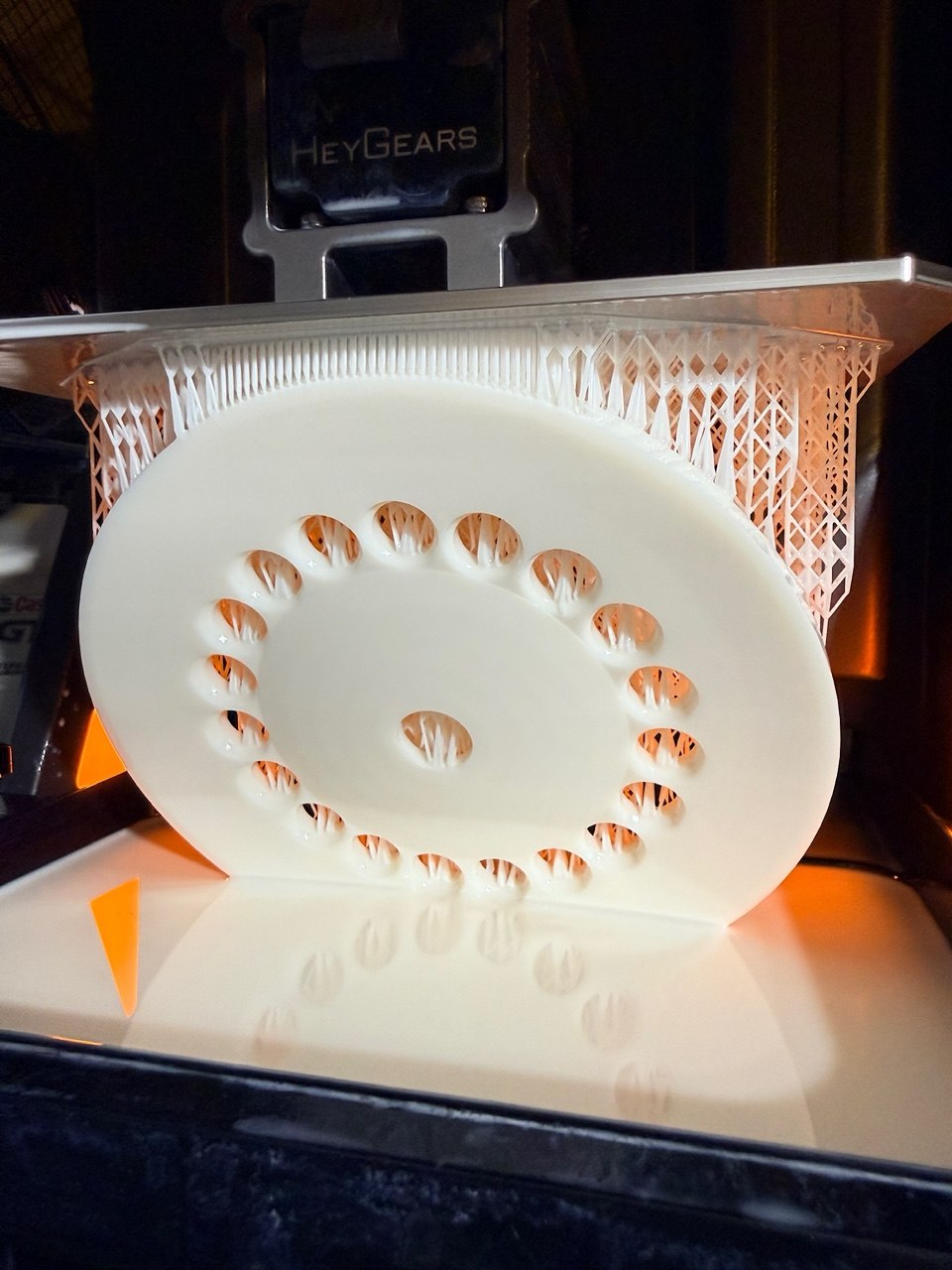 Resin 3D print fresh off a HeyGears printer